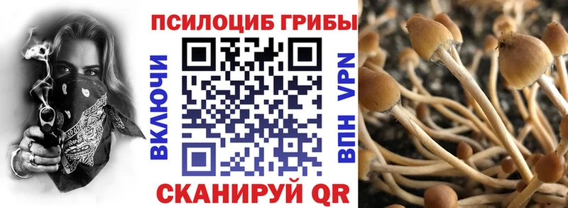 Галлюциногенные грибы GOLDEN TEACHER  Вытегра 